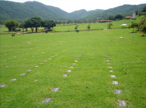 Coroa de Flores Funerária IDEAL - Da Paz (Passos/MG)